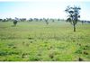 346 Avoca Road, Stuart Town