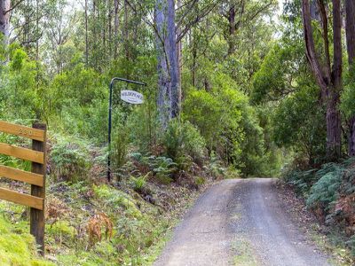 230 Fyfes Road, Mountain River