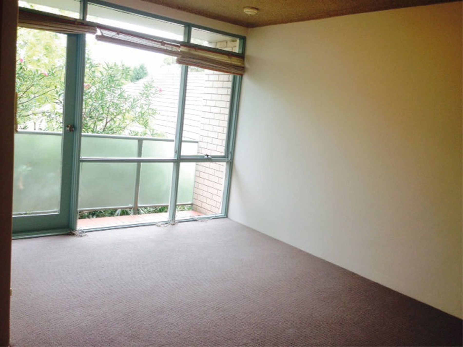 43 / 51 Hereford Street, Glebe