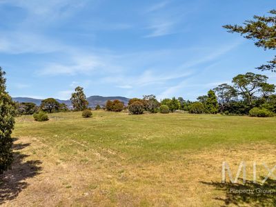 236 Tea Tree Road, Brighton