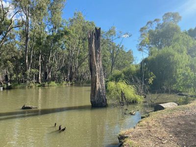 2238 Kerang Koondrook Road, Koondrook