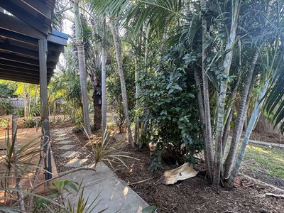 45 Planigale Loop, Djugun