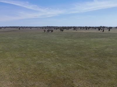 3166 Back Trundle Road, Parkes