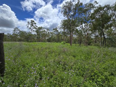 Mount Garnet