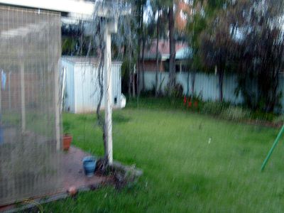 127 Birch Avenue, Dubbo