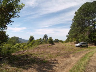 210 Frasers Road, Mullumbimby