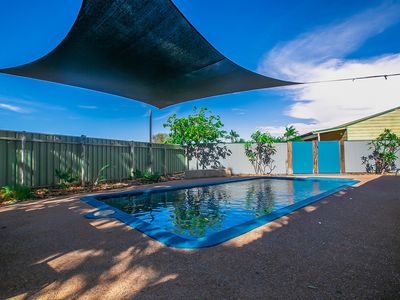 20 Spoonbill Crescent, South Hedland