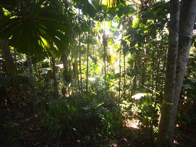 51 Waterfall Place, Jubilee Heights