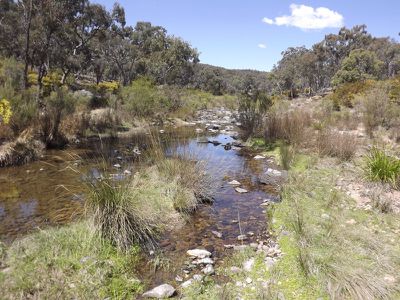 3 / Billabong Waters, Emmaville