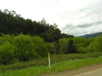 Lot 4 New Road, Franklin