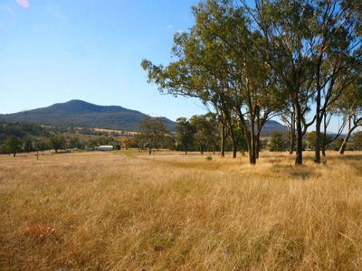 1379 Wandobah Road, Gunnedah