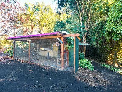 90 Anderson Road, Nimbin