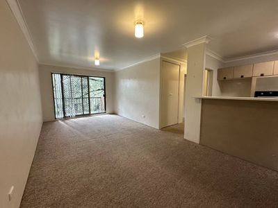 7 / 392 Jones Street, Ultimo