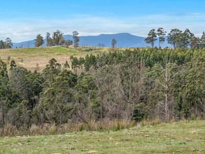 Lot 1 Harwoods Road , Castle Forbes Bay