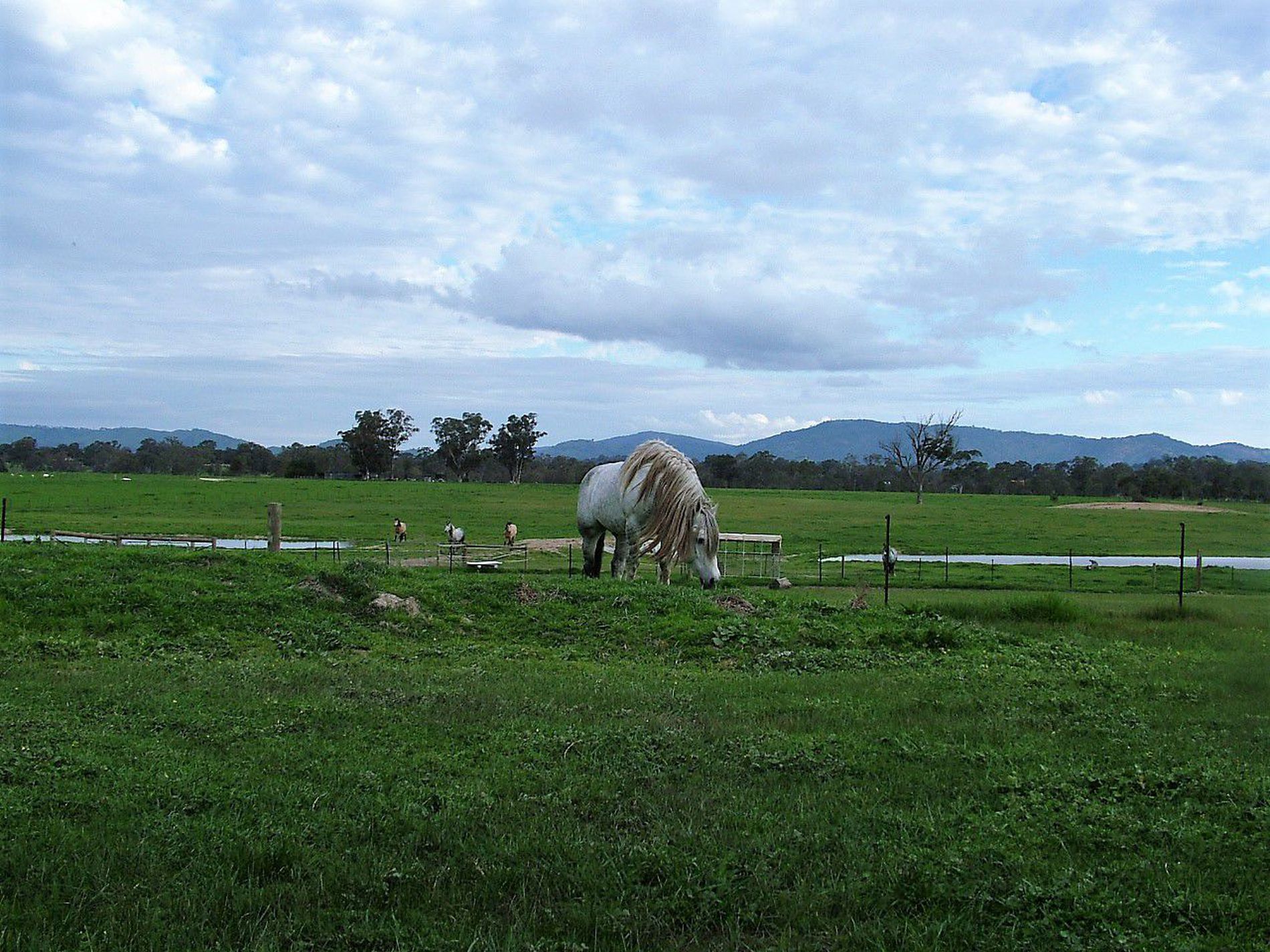 220 Tarcombe Road, Seymour