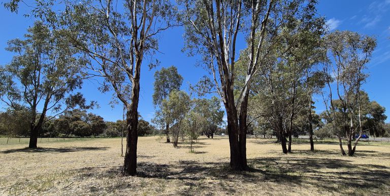Lot 1, Irwin Street, Violet Town