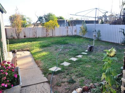 8263 Loddon Valley Hwy, Durham Ox