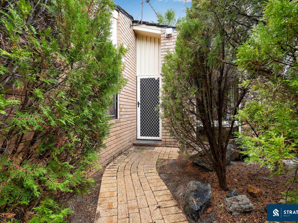 13 Bold Place, Ferndale, Ferndale - Thumbnail 5