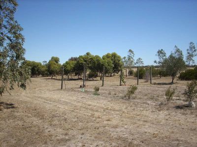 1133 Wimmera Highway, Horsham