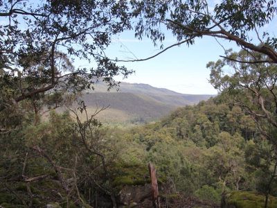 261 Jacks Corner Road, Kangaroo Valley