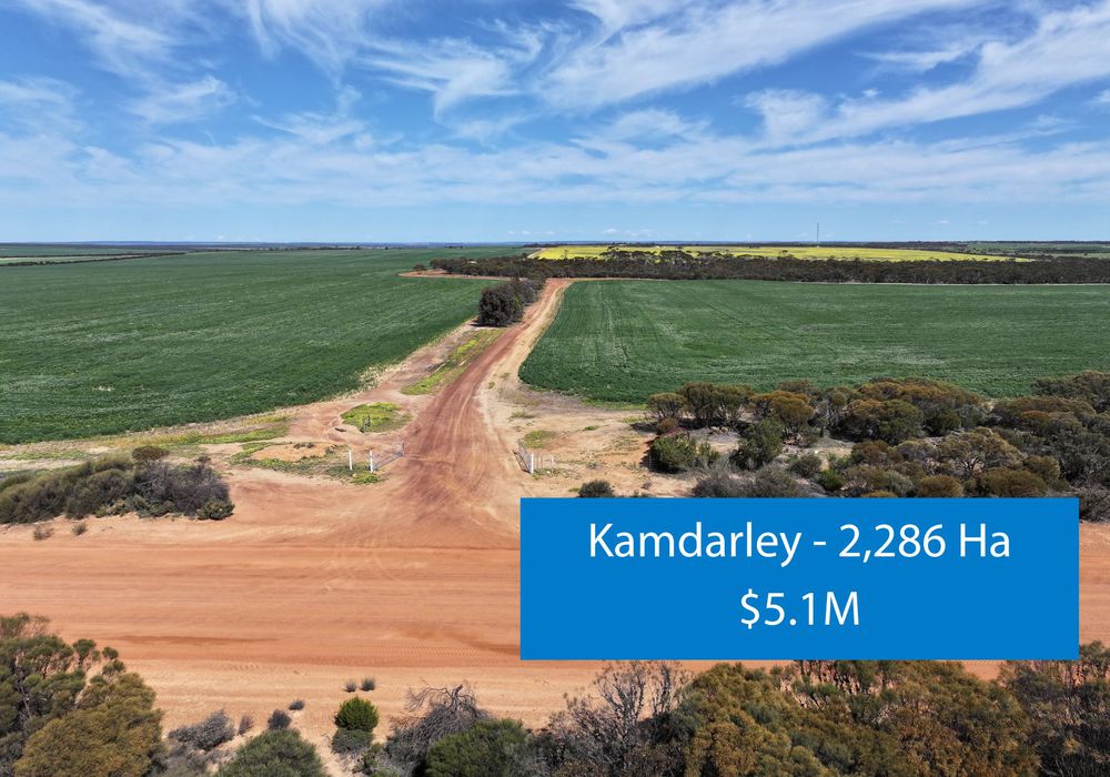 'Kamdarley' & 'King View', Hyden