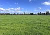 1241 Drysdale Road, Pranjip