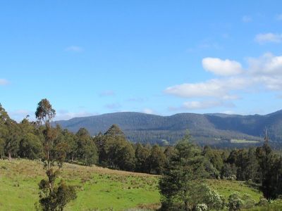 Halls Track Road, Pelverata