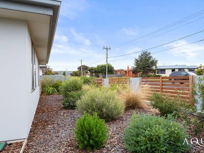 2 / 39 Adelaide Street, George Town