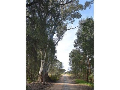 268 East Barham Road, Barham