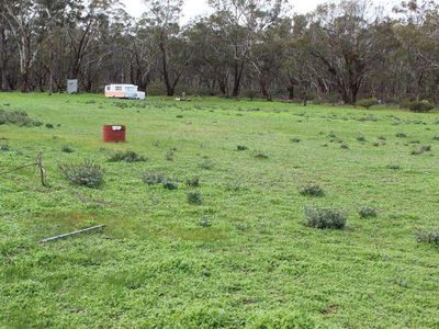 Old Boort Road, Wedderburn