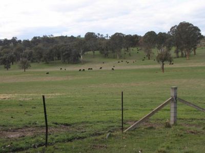 123 Mountain Bay Drive, Mountain Bay