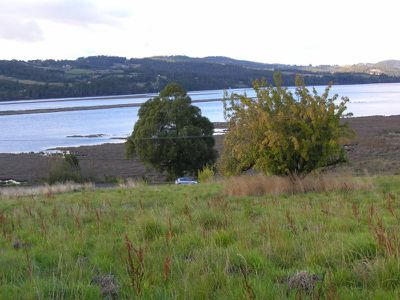 Huon Highway, Franklin