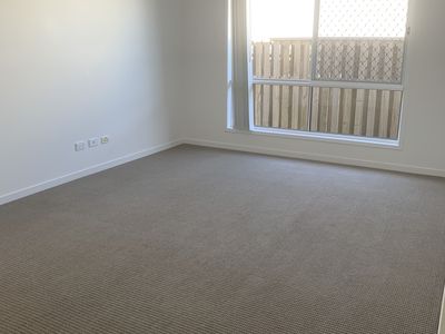 25 Bottle Brush Circuit, Coomera
