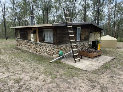 Wattle Camp