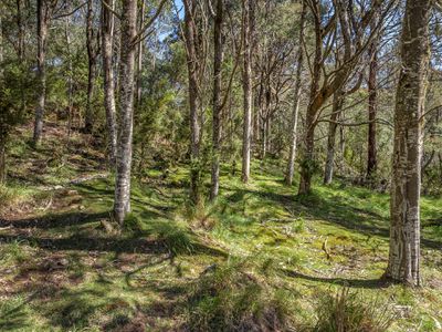 Lot 1, 519 Nicholls Rivulet Road, Oyster Cove