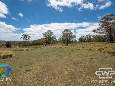 Lot 214, - Piggery Road, Red Range