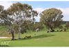 38 Offner Road, Orange