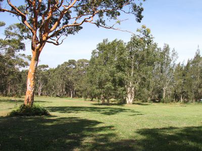5 Sweetpea Road, Forster