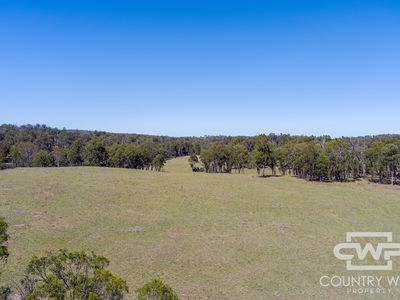 954 Bullock Mountain Road, Glen Innes