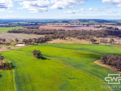 1036 Rob Roy Road, Inverell