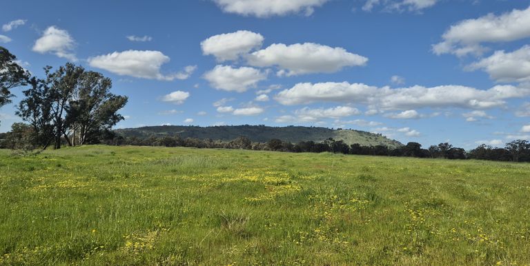 393 Mansfield Road, Euroa