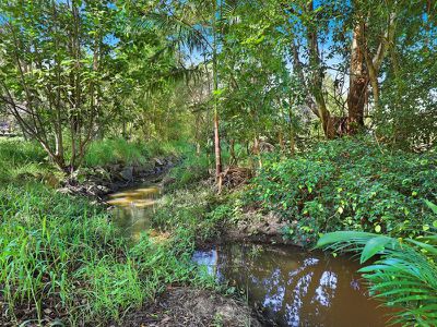 47 Birdsong Drive, Mooloolah Valley