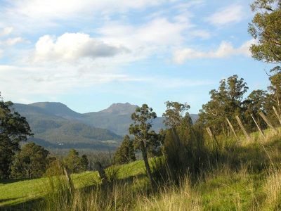 47 Allens Road, Grove