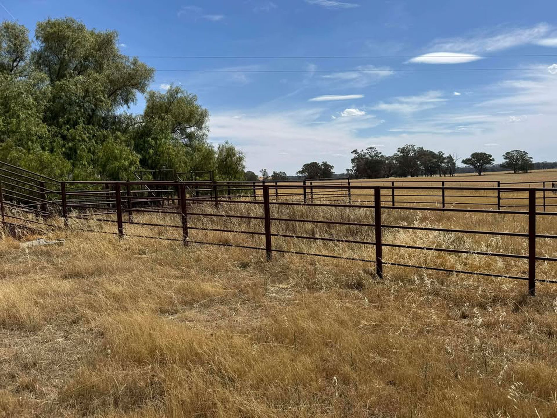 342 Olieview Road, Parkes