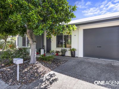 44 / 230 Pulgul Street, Urangan