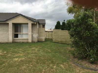 28 Daintree Street, Bellmere