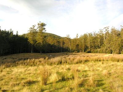 1 Halls Track Road, Pelverata