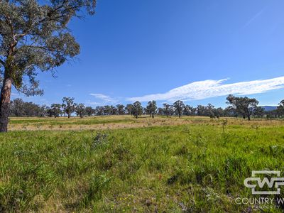 391 Carrot Farm Road, Deepwater