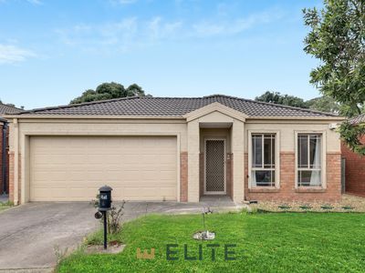 6 Silverwattle Drive, Lyndhurst