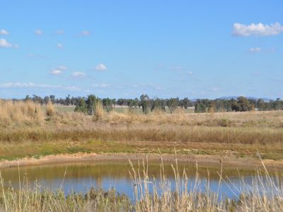 Henty-Walla Road, Culcairn